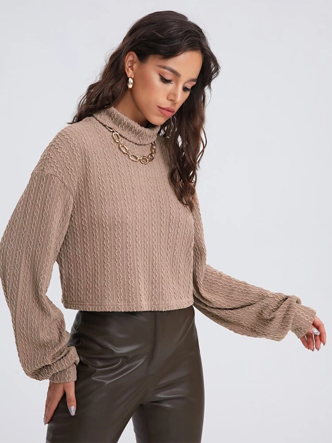 Turtleneck Long Sleeve Top - The Goddess Galleries