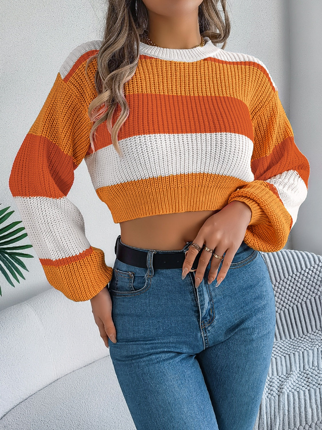Color Block Round Neck Cropped Sweater - The Goddess Galleries