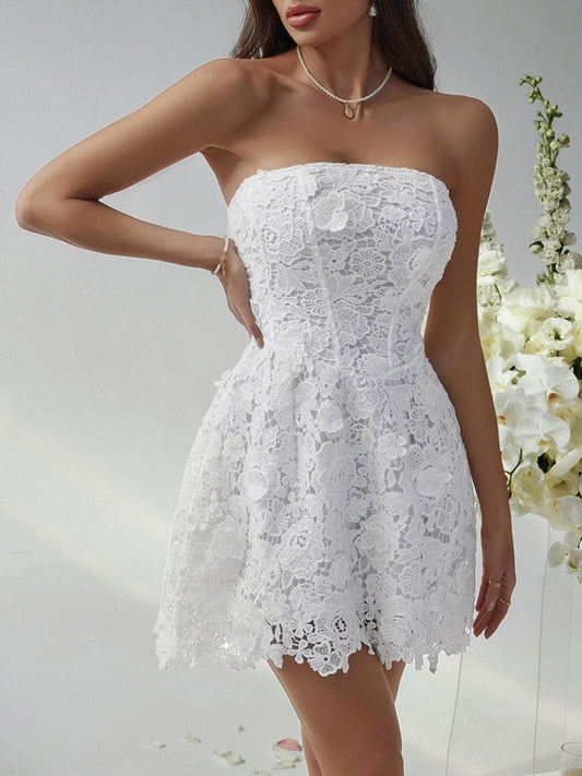 Devine Lace-Up Tube Lace Mini Dress - The Goddess Galleries