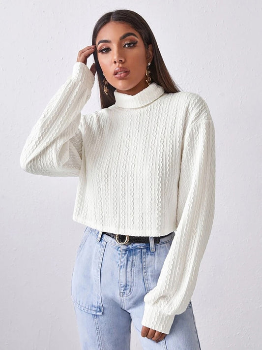 Turtleneck Long Sleeve Top - The Goddess Galleries