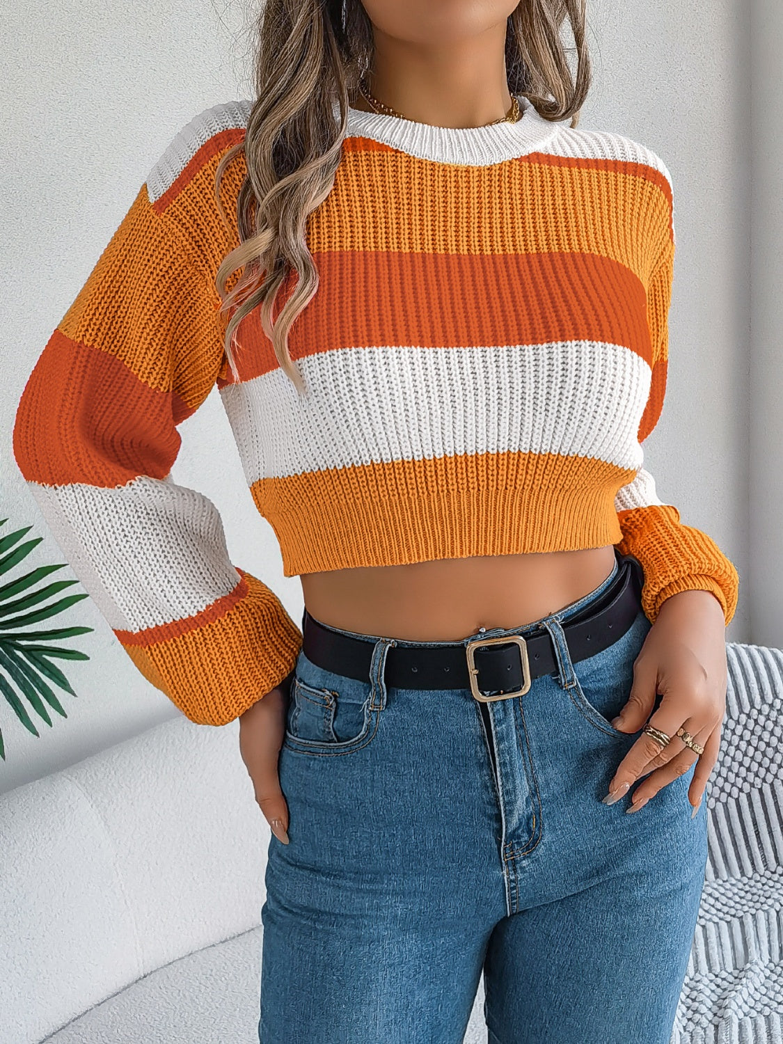 Color Block Round Neck Cropped Sweater - The Goddess Galleries