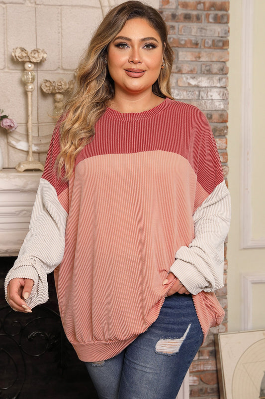 Plus Size Color Block Long Sleeve Top - The Goddess Galleries