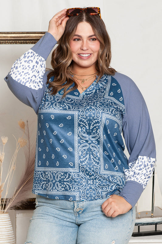 Plus Size V-Neck Printed Raglan Sleeve Blouse - The Goddess Galleries